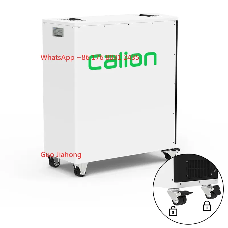 

CALION All in One Ess Home Storage 6.6Kwh Lifepo4 Battery Built-in 6.2kw Inverter With Moving Wheels Ion Battery 51.2V 130Ah