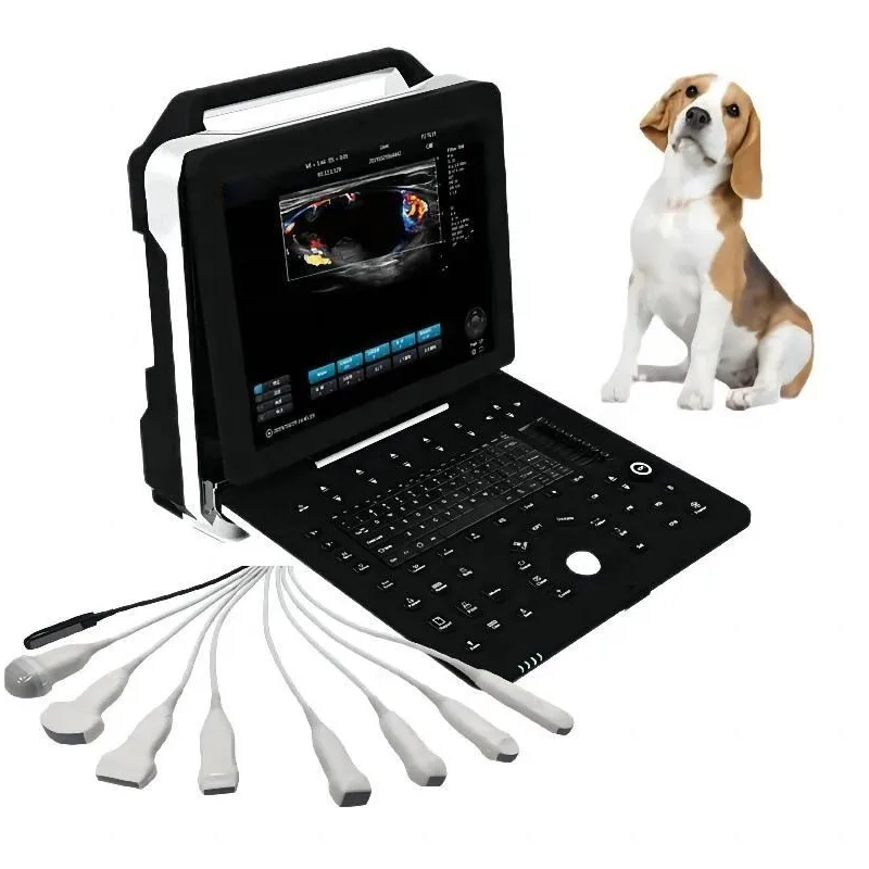 Portable High Resolution Pet Machine Color IN-P8VET