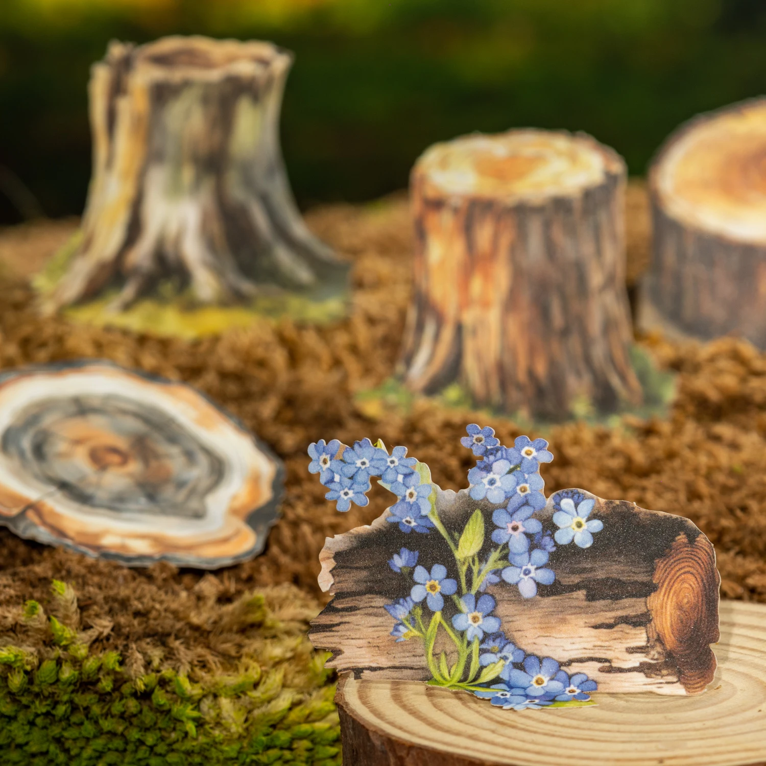 Naklejki z motywem drewna, serii czasowej, kwiatów vintage, kmena drzewa, rocznikowe, okrągłe, krajobrazowe, kreatywne DIY, materiał do dziennika, kolaż, artykuły papiernicze.