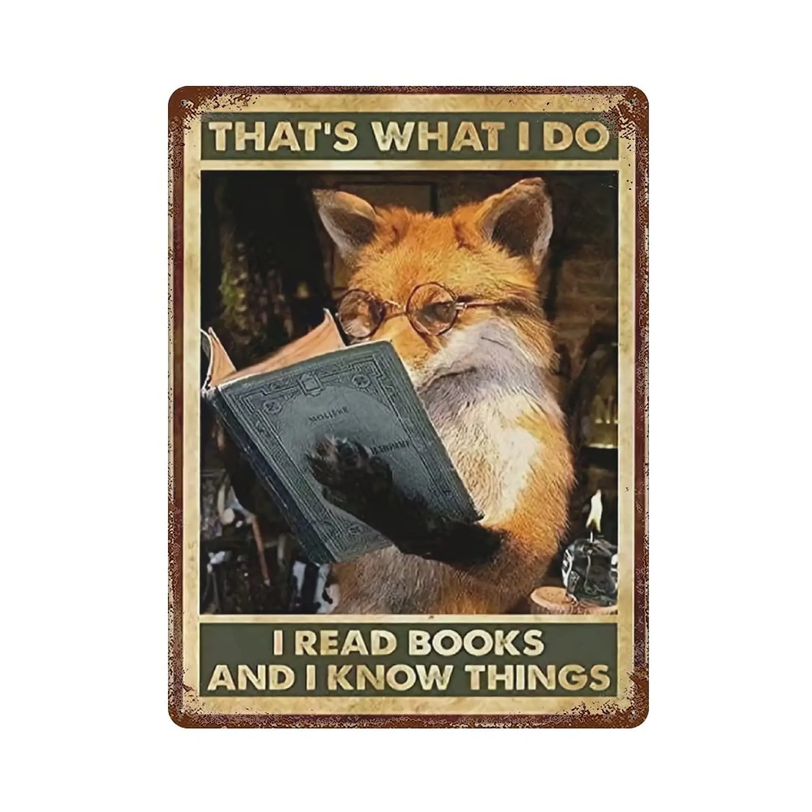 

Fox Metal Tin Sign,That's What I Do I Read Books And I Know Things,Vintage Style Iron Painting for Indoor Outdoor Home Bar C