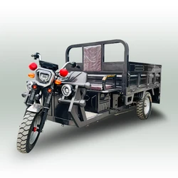 Heavy Duty Electric Cargo Vehicle 1800W High Speed Three Wheel Cargo Bike Truck Cargo Tricycle