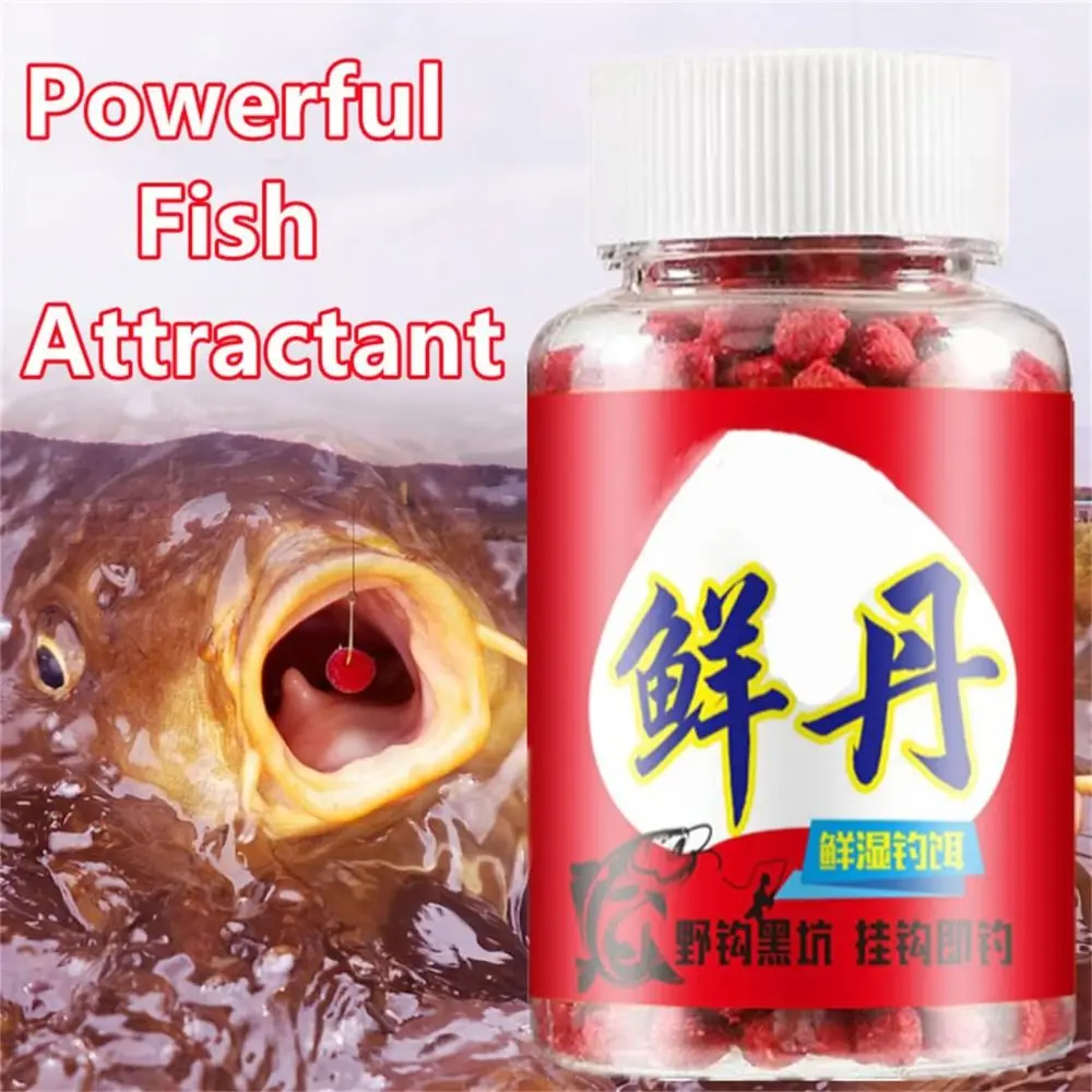 1/3Pcs Concentrated Fishing Lure High Protein Fishy Taste Crankbaits Hooks Fish Food for Dace Bream Carp Tilapia Crucian Carp