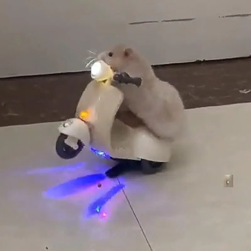 Hamster Toy with 360 Degree Rotation Colorful Lighting Electric Motorcycle with Sound Effect Golden Wire Bear Toy Pet Accessory