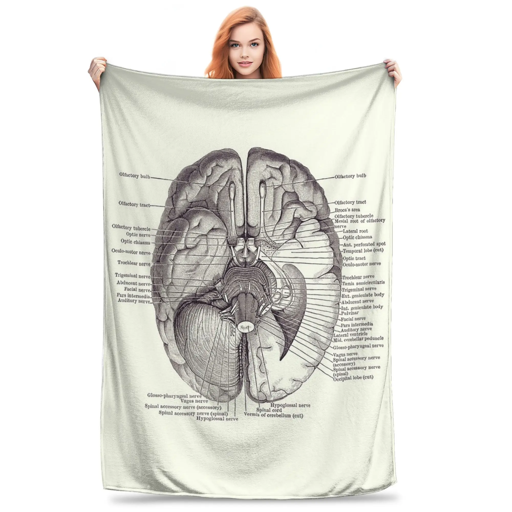 Brain Nervous System Diagram Anatomy Blanket Soft Warm Flannel Throw Blanket Cover for Bed Living room Picnic Travel Home Couch