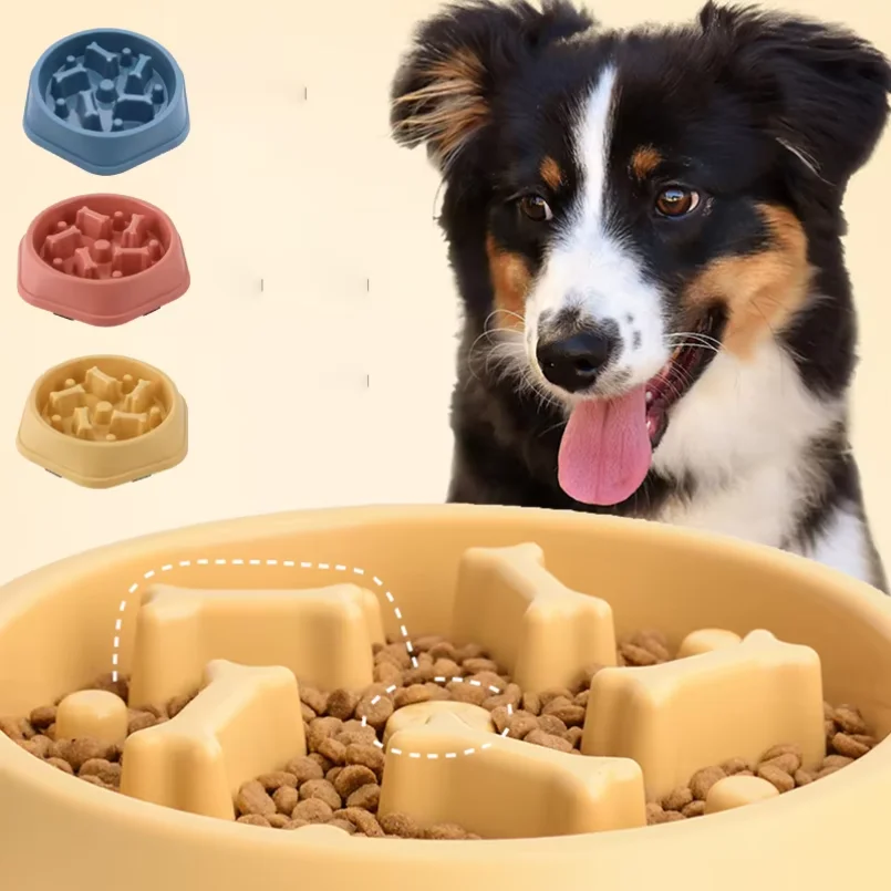 Non-Slip Slow Feeder Bowl for Dogs & Cats product image