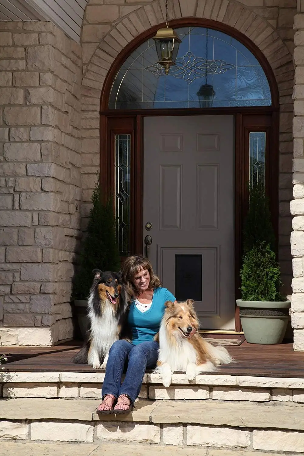 For Home Use, Plastic Frame, Paintable, Easy Installation and Weather-Protected Pet Door Insert
