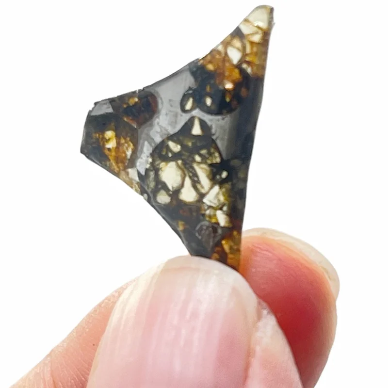 Seymchan Pallasite Meteorite Slab Polished Transparent Olivine Crystal Extraterrestrial Rock Astronomy Collection Specimen TA744
