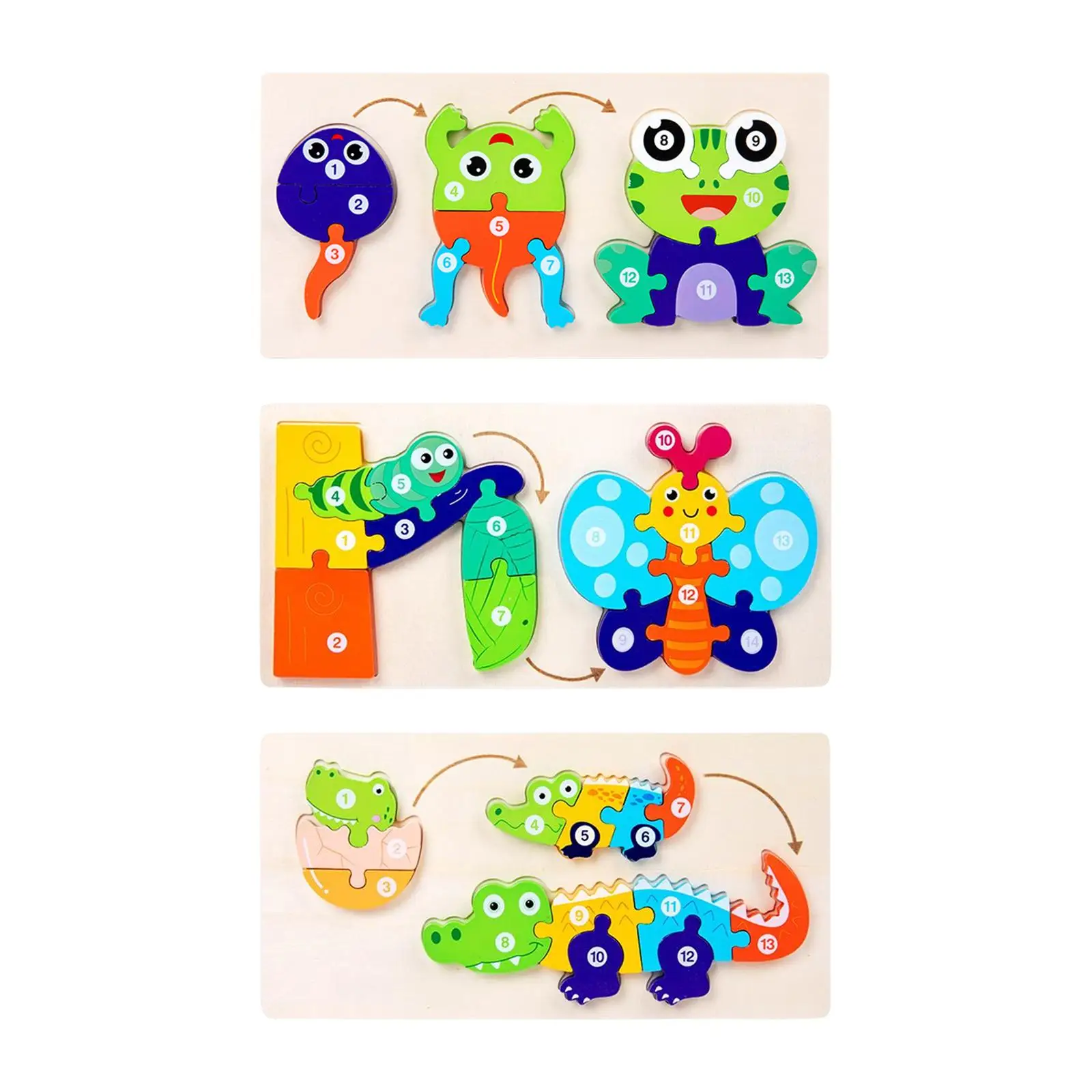 Animla のライフ サイクル パズル 動物の認識 創造性 想像力