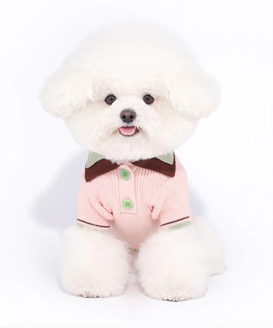 Soft Cotton Sweater for Pets, Small Dog Clothing, Cute French Fries Printed, High Quality Design Jacket for Cats and Animals