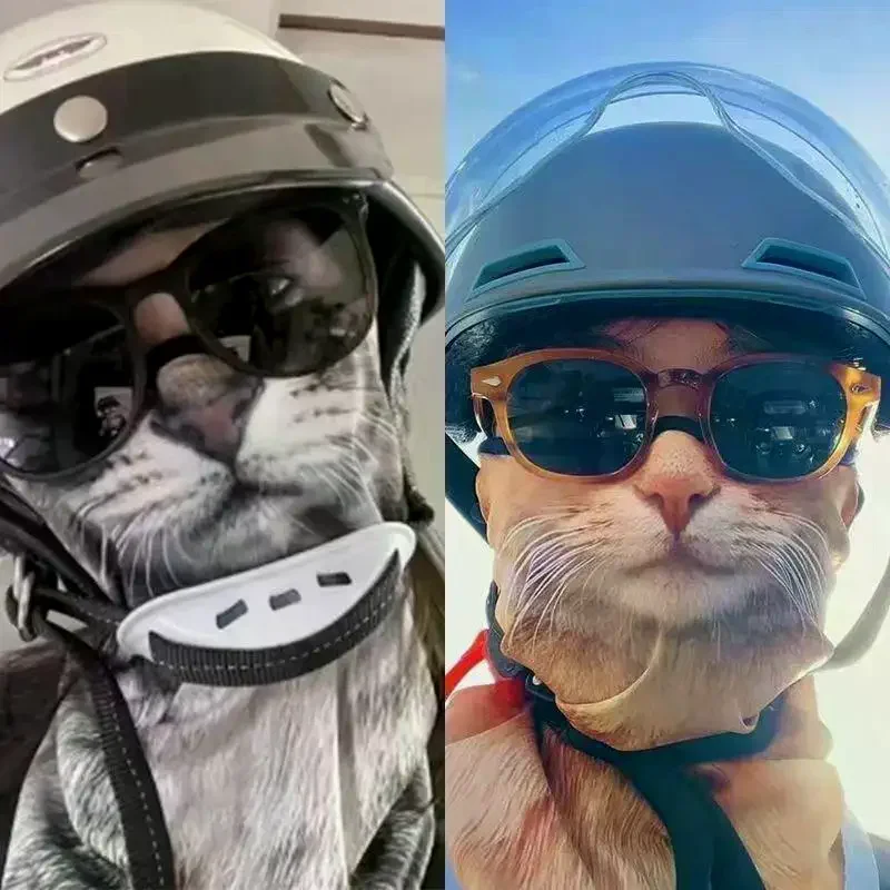 Cute Animal Cat Dog Balaclava Motorcycle Motocross Ski Snowboard Helmet Liner Neck Warmer Face Cap Cycling Headgear