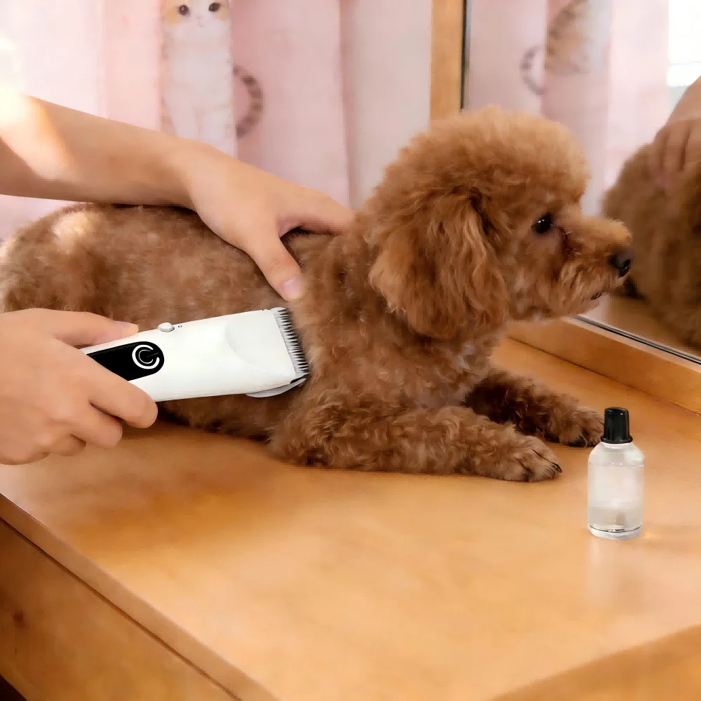 

2026 Wholesale Rechargeable Low Noise Portable Simple ABS Hair Clipper Set Professional Barber Salon Grooming Detail Trimmers