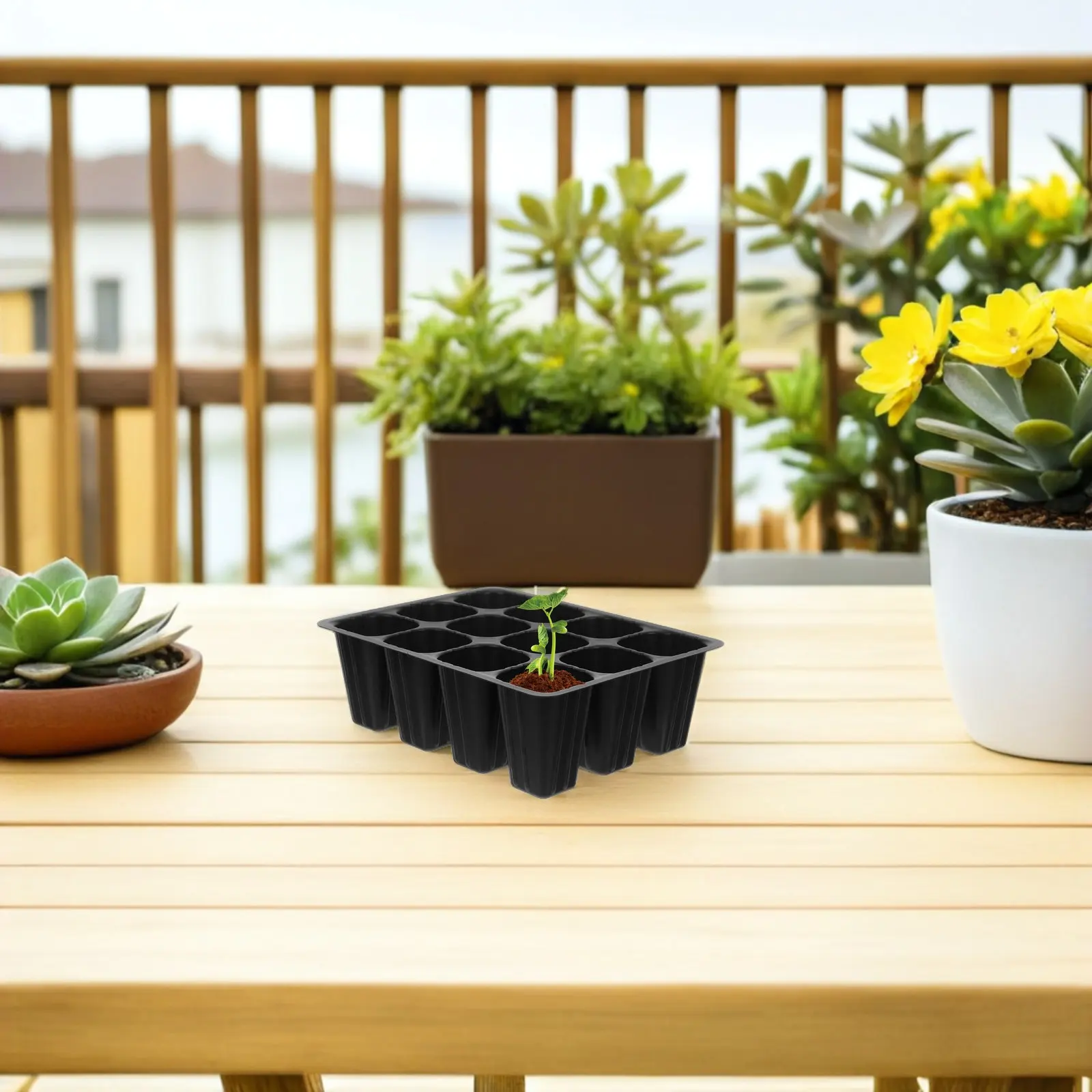 30Pcs Plastic Seedling Starter Trays with Even Drainage Holes Thermal Stable Black Growing Tray for Balcony Compact Greenhouse