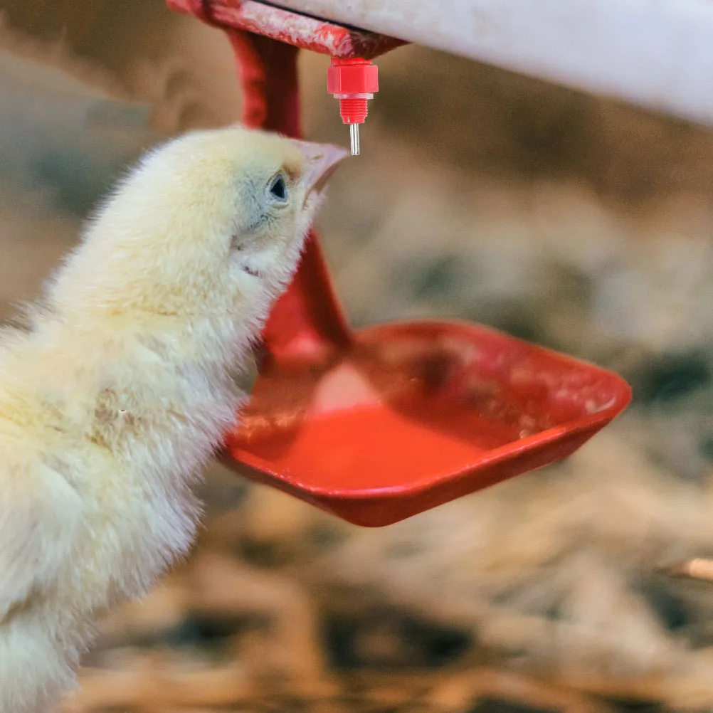 

30 Pcs Automatic Drinking Fountain Chick Drinker Poultry Chicken Nipples for Water Feeder Waterer Metal Coop