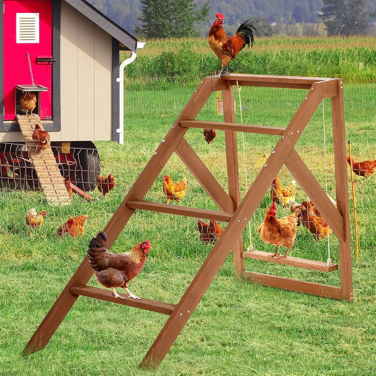 

Pet Chicken Habitat with Swing Chicken Toy Chicken Root Rod Root Ladder Runway Farm