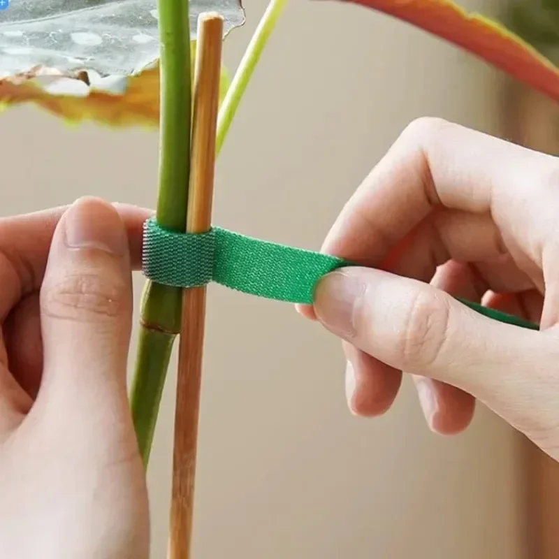 20/2M Green Garden Twine Plant Ties Adjustable Nylon Plant Bandage Garden Hook Loop Bamboo Cane Wrap Support Garden Accessories