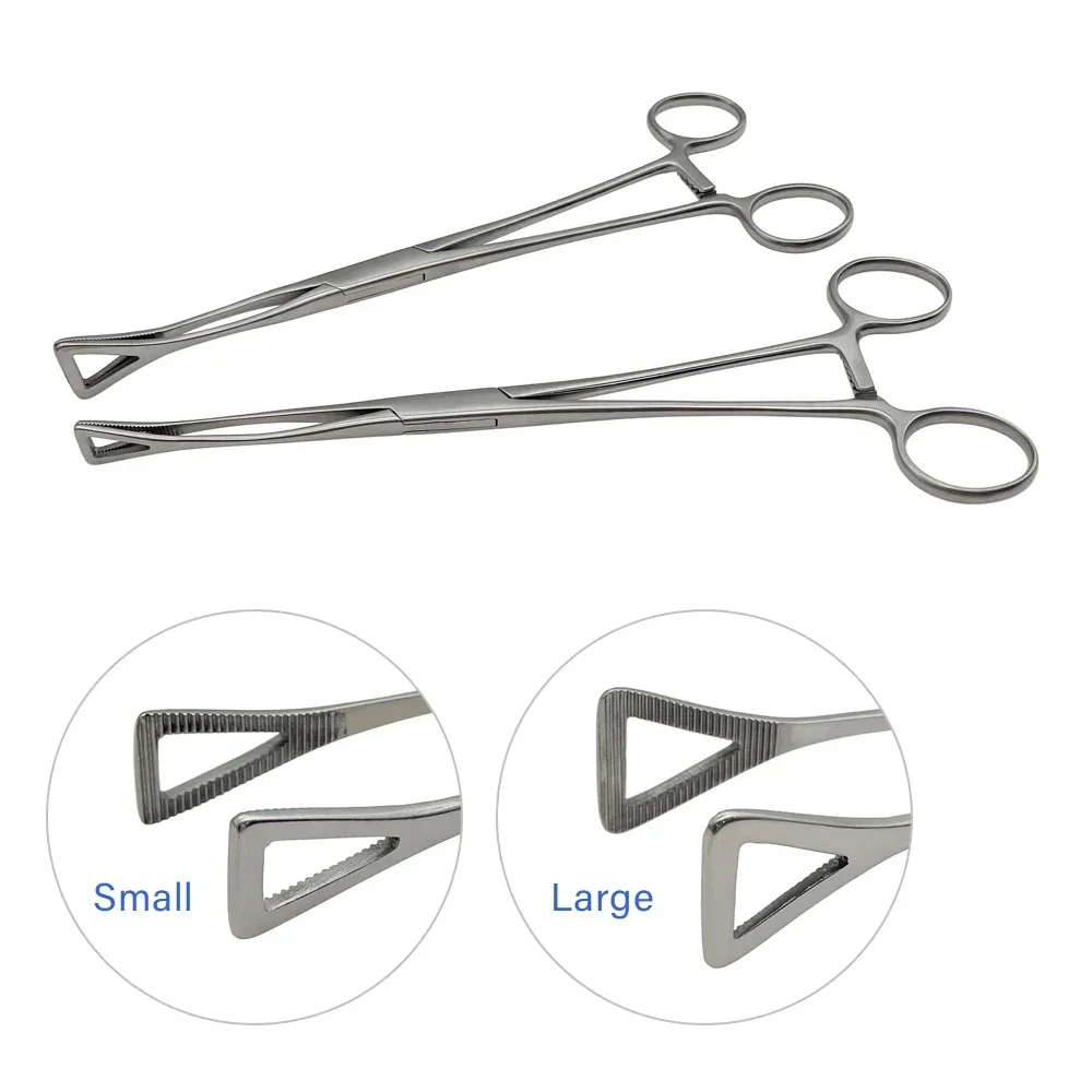 1pc Non-Slotted (Closed End) Clamp Forceps Steel for Tongue Belly Nose Closed-End Design for Better Clamping