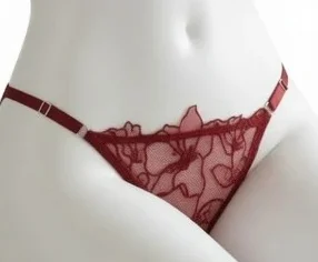 Ultra Comfort Lingerie Set Soft Underwire Small Cup Push Up Women Lace Embroidery Net Fabric Bestseller Sexy Bra Set KUCLUT