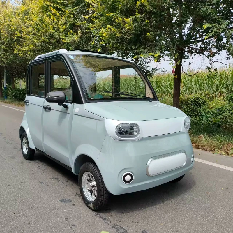 The elderly micro new energy vehicle 1000W 60v household electric vehicle, fully enclosed lithium battery adult car