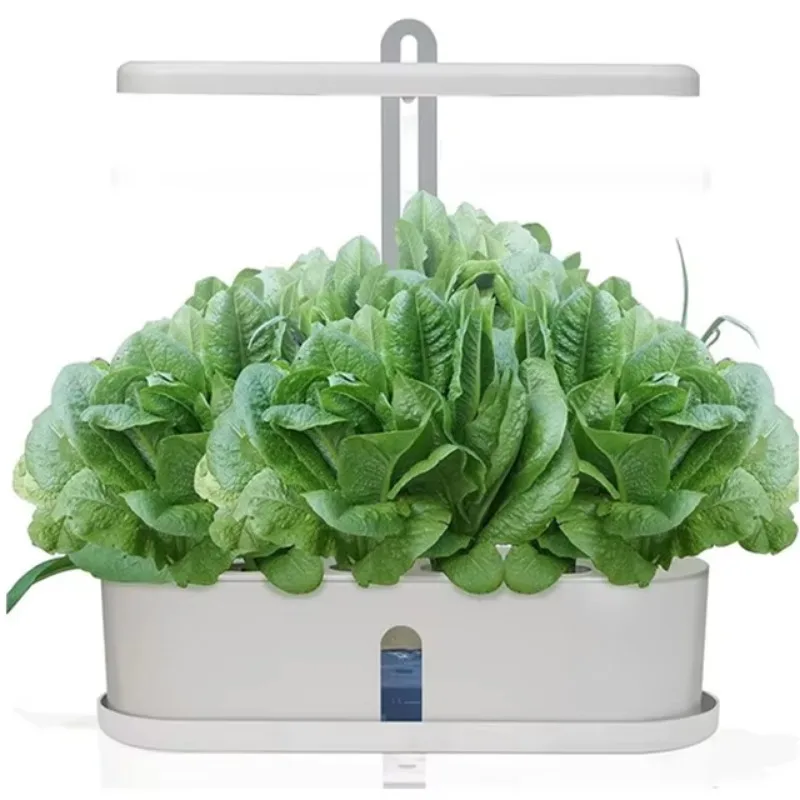 Grow Box Indoor Herb Vegetables and Fruit at Home Automatic Timer Height Adjustable Hydroponic Growing Systems