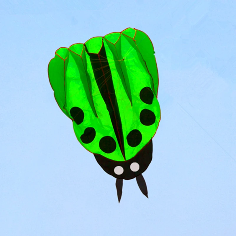 free shipping large ladybug kite buggy animated kites for kids inflatable kite dragon fly wind power Eagle kite show kites hoka