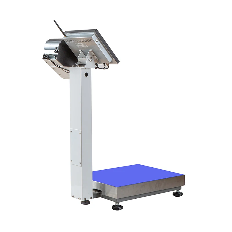 Intelligent windows Industrial platform weighing scale 500kg electronic weighing scale