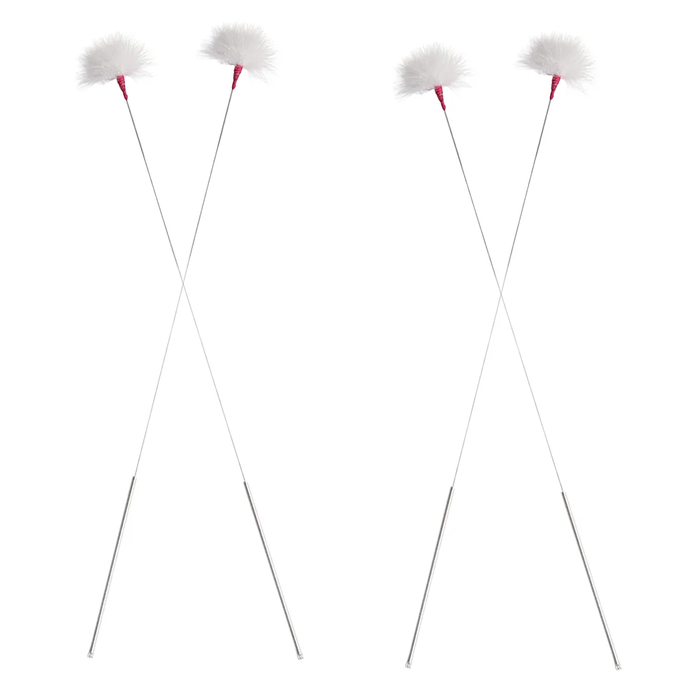 

4 Pcs Clean Ear Tool Wax Removal Goose Professional Earwax Pickers