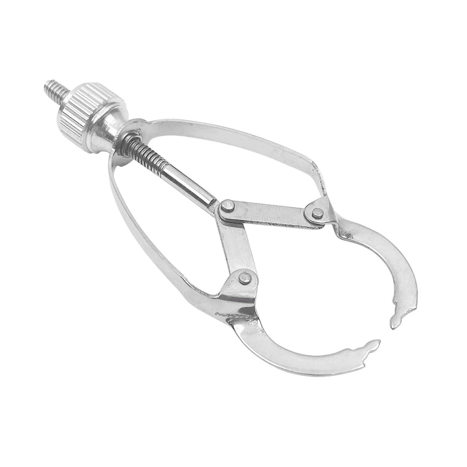 JOLANT Stainless Steel Dental Ivory Matrix Band Retainer Clips Instruments Dentistry Matrices Holder Band Forming Sheet Plier
