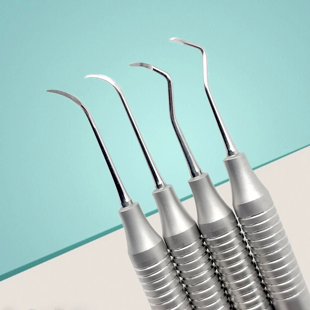 

4Pcs/set Dental Scaler Kit Professional Stainless Steel Teeth Cleaning Tools for Tartar Removal Dentist Design Oral Care Kit