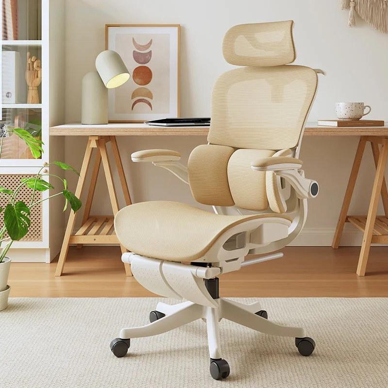 Lumbar Support Ergonomic Chair Computer Chair Gaming Chair Home Office Chair Study Chair Reclining for Nap