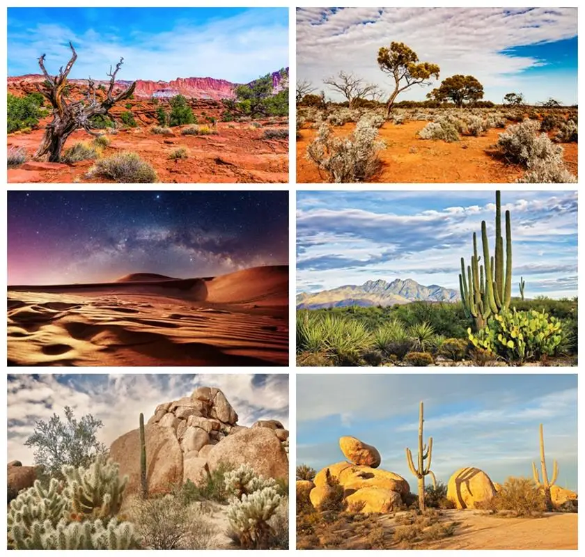 

Laeacco Desert Scenery Photography Background Western Monument Valley National Park Nature Scenery Adults Kids Portrait Backdrop