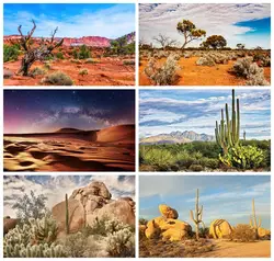 Laeacco Desert Scenery Photography Background Western Monument Valley National Park Nature Scenery Adults Kids Portrait Backdrop