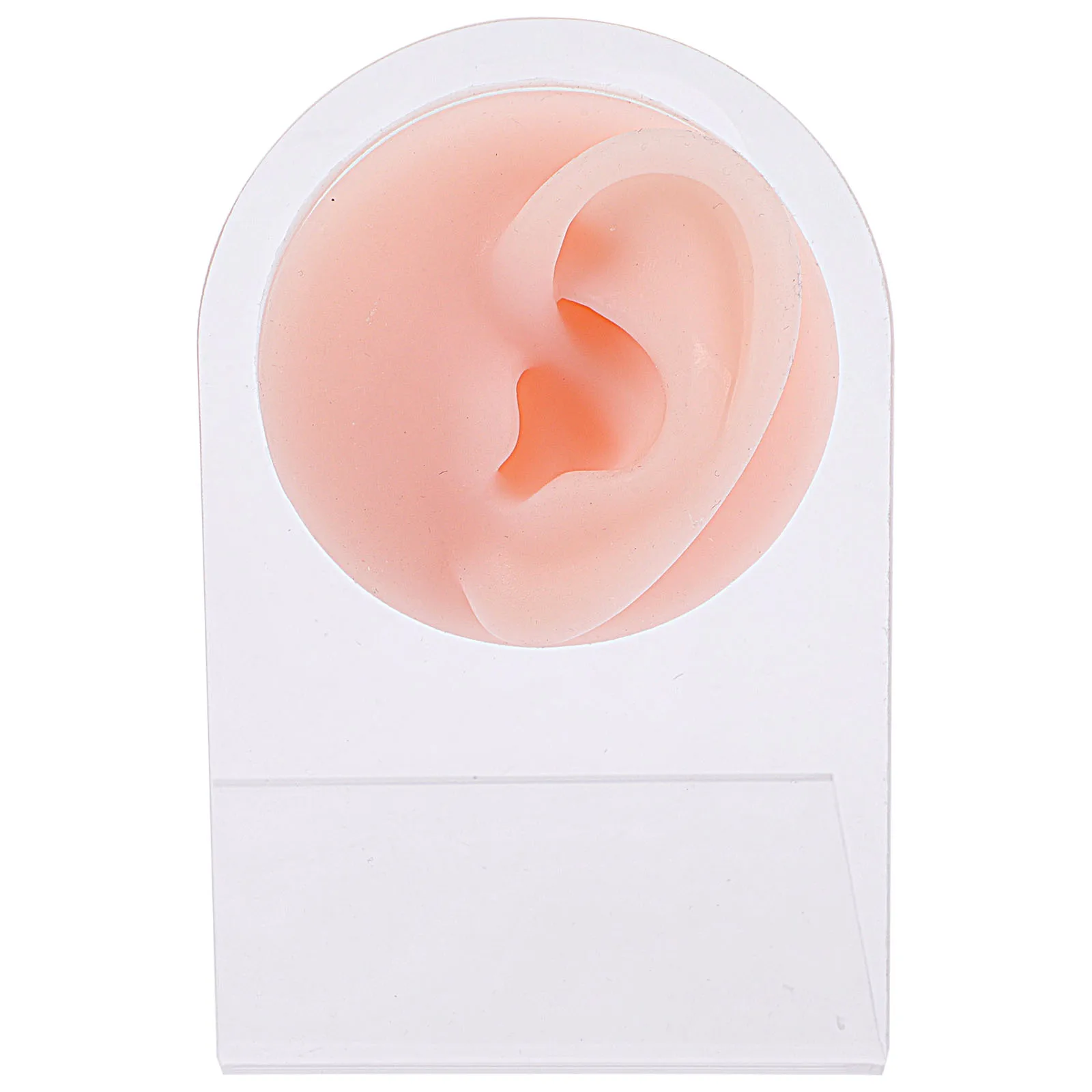 

Silicone Ear Model Piercing Practice Mold for Jewelry Display Acrylic St Body Parts Tool Ear Cleaning Accessories