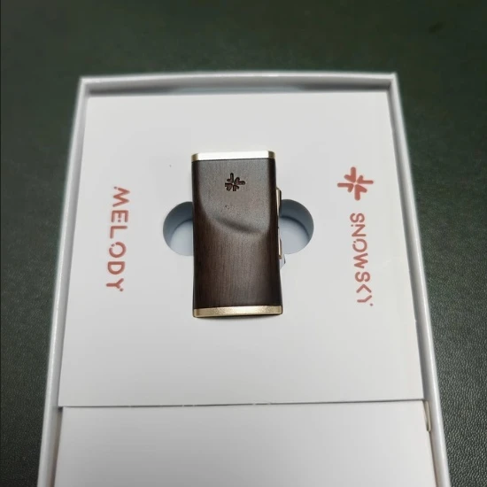 FIIO سنوسكي ميلودي مضخم ضوت سماعات الأذن خشبية Hifi DSP DAC المحمولة ضياع DSD فك سماعة مكبر كهربائي مخصص