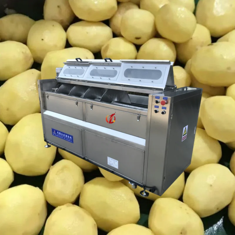 Factory potato cleaning peeler potato