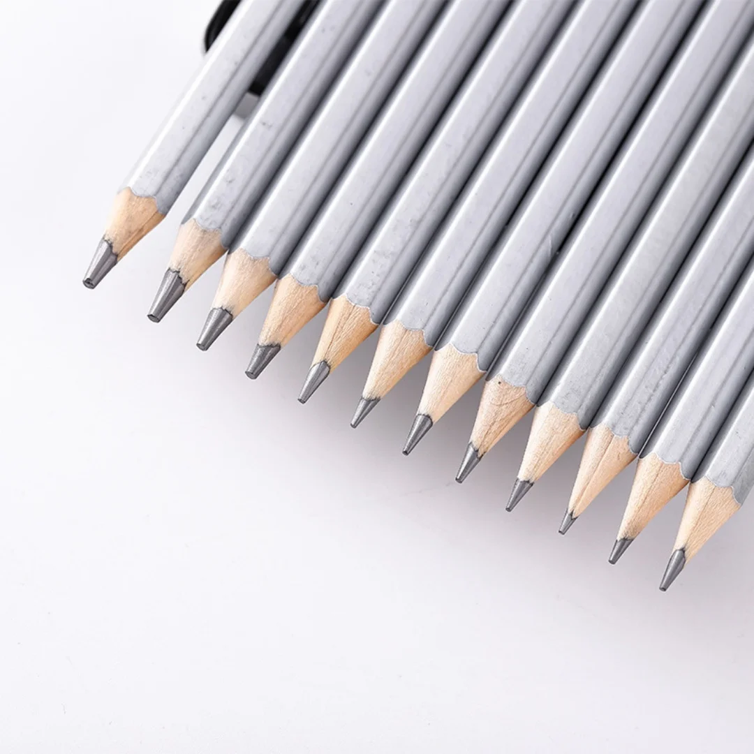 12 Pcs Professional Sketch Pencil Set in Tin Case, 2H-8B Graphite Drawing Pencils for Artists, Students