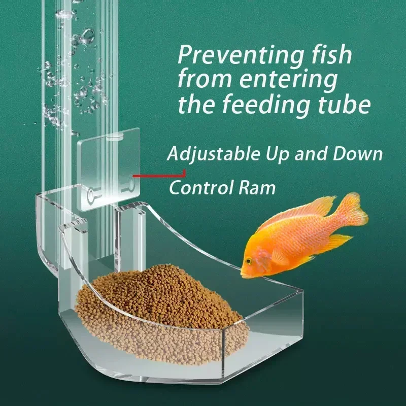 Aquarium Acrylic Feeding Tube Fish Tank Feeder Dish Fixed Point Feeding Supply Shrimp Food Feeding Ring Bowl