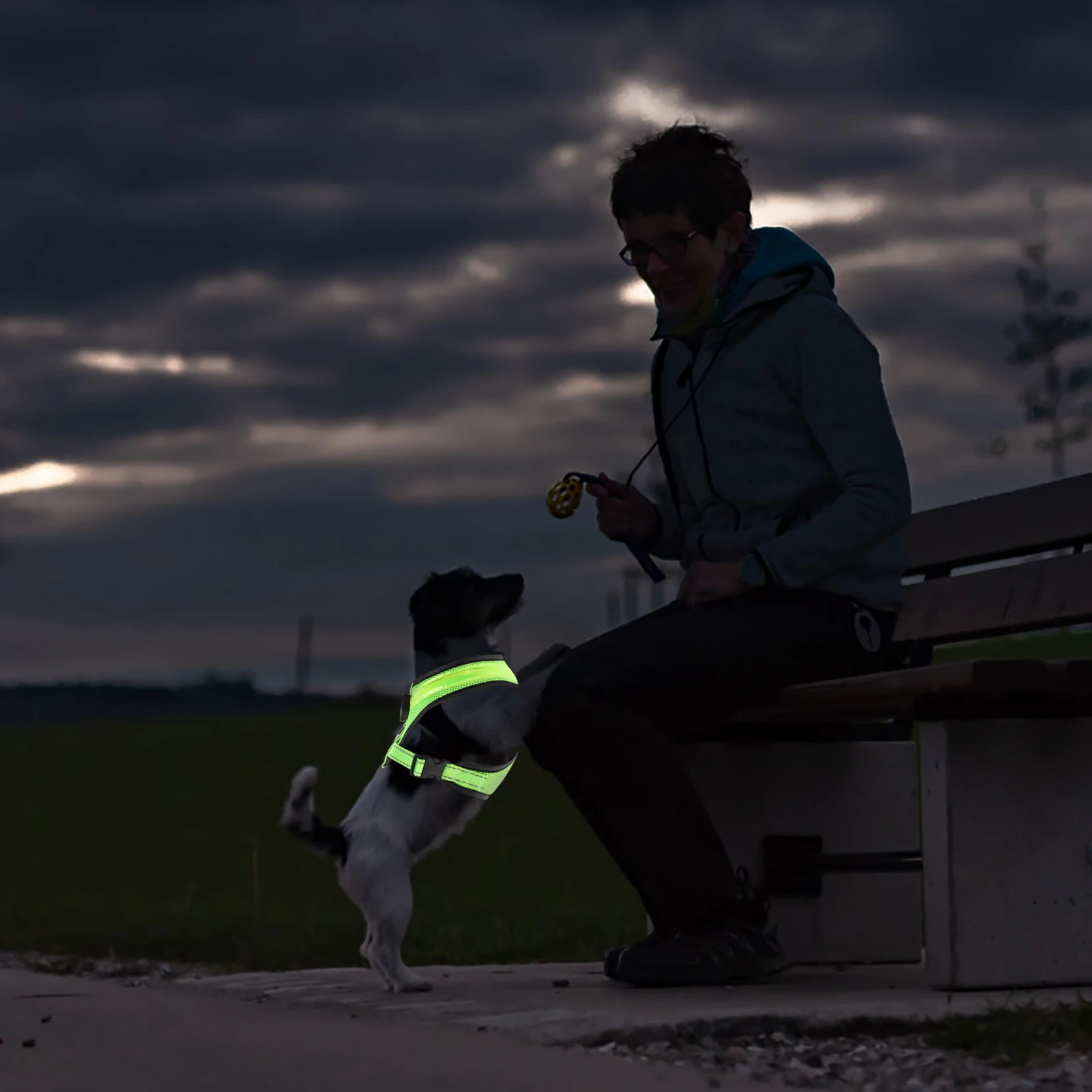 

1 set LED Luminous Night Pet Led Puppy Luminous Vest Vest Reflective USB Charging Pet Puppy Fashion Walking Harness