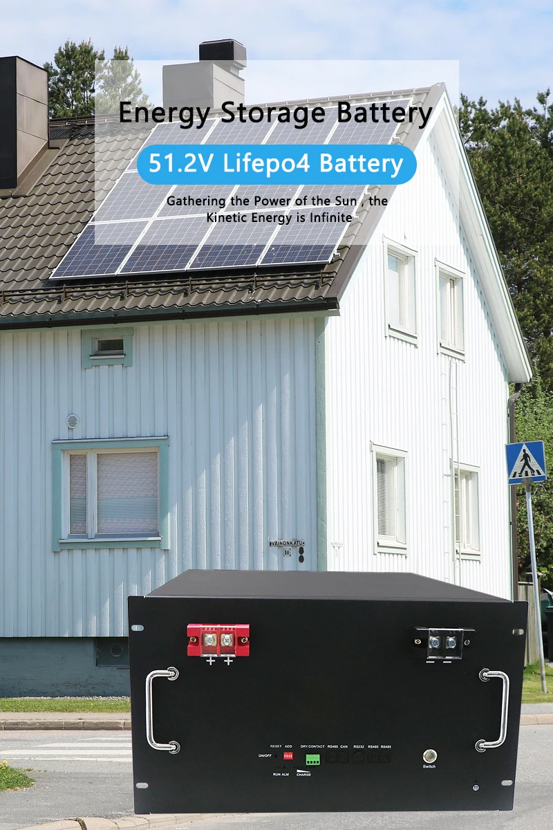 Rack Mounted Lithium Battery 51.2v 100ah 200ah LIFEPO4 Batteries UPS Energy Storage System 5wh 10kwh 50kwh 100kwh High Power