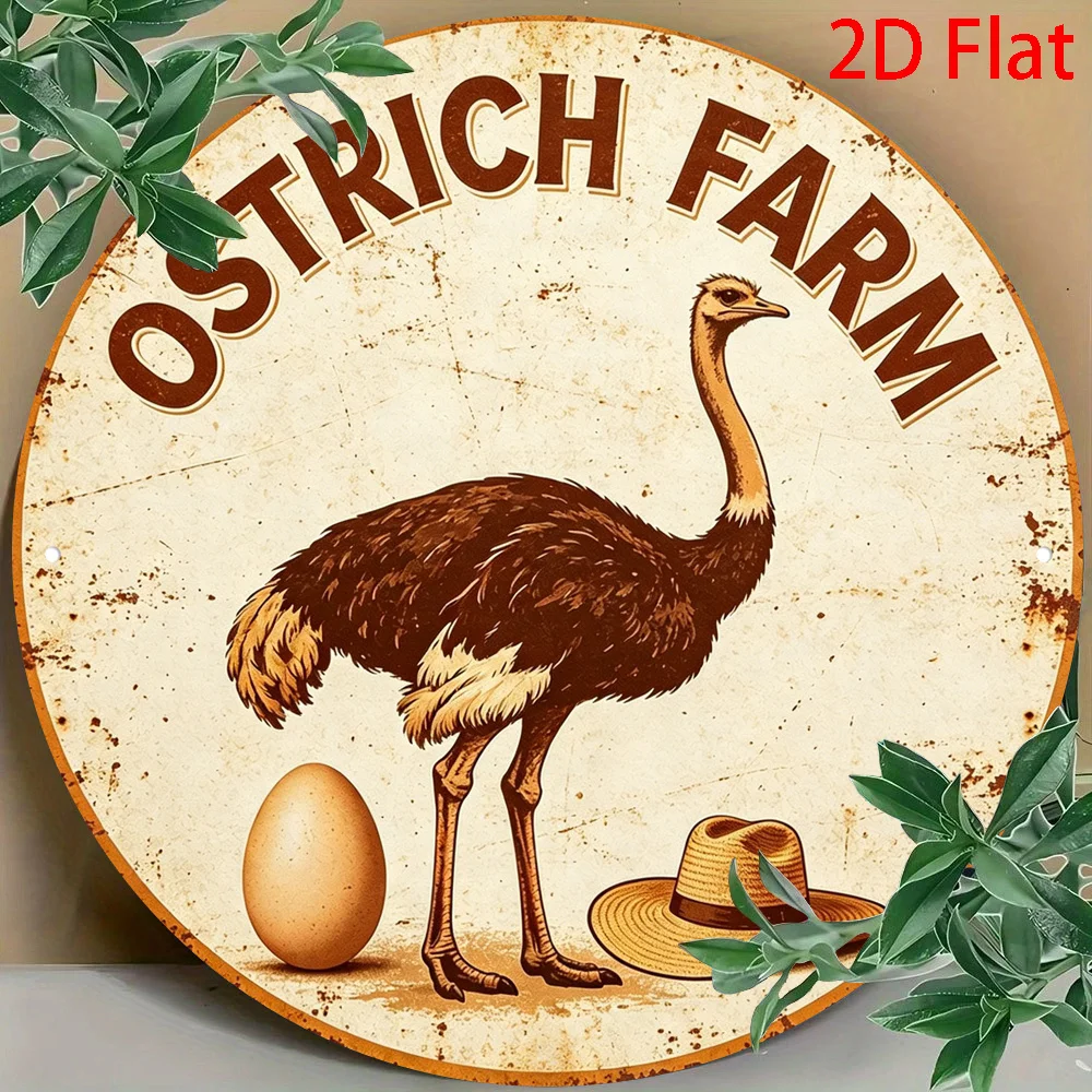 2D Flat, 2D Flat 1pc, 