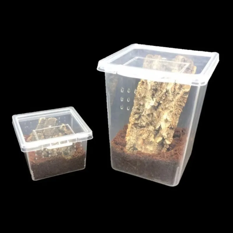 Accessories for Scorpion Spider Ants Transparent Household Lizard Living Box Insect Feeding Box Hatching Tank Reptile Habitat