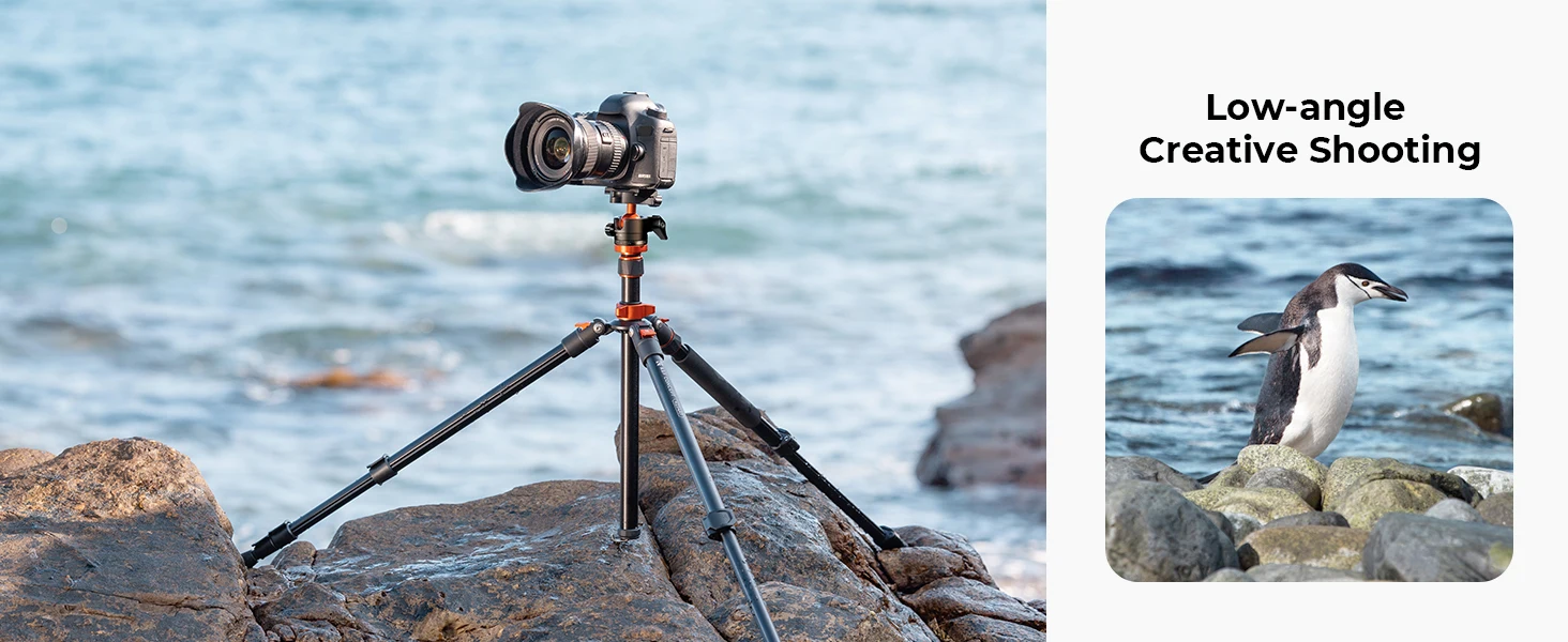 K&F CONCEPT 2 m Overhead-Aluminium-DSLR-Stativ, kompaktes tragbares Vlog-Stativ, Einbeinstativ, 22 lbs/10 kg Tragkraft, K234A7 + BH-28L Kamerastative – Detail 5