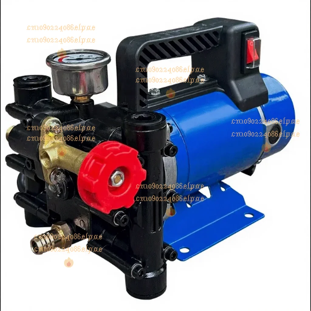 

Agricultural Electric High Pressure Pump 12V Double Cylinder Piston Pump Spraying Watering Car Wash Pesticide Sprayer