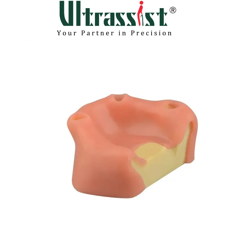 Ultrassist Dental Sinus Lifting & Implant Placement Practice Model B, Basic Implant Training Model with Practice Soft Gums