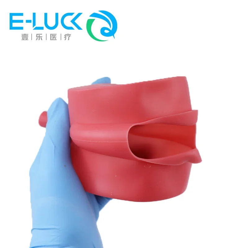 1pc Dental Teeth Model Silicone Mask Decor Dental Study Teach Typodont Head Model Training Simulation Practice