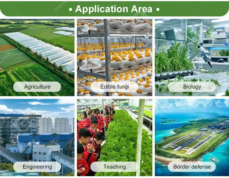 Biodegradable Containerized System in Container Smart Greenhouse 16 Ft Mushroom Grower Room Aeroponic Farm customize