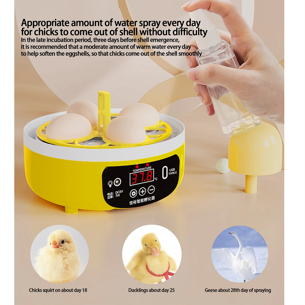 Small Household Hatcher Efficient And Low-noise Hatching Solution Observe Hatching Process