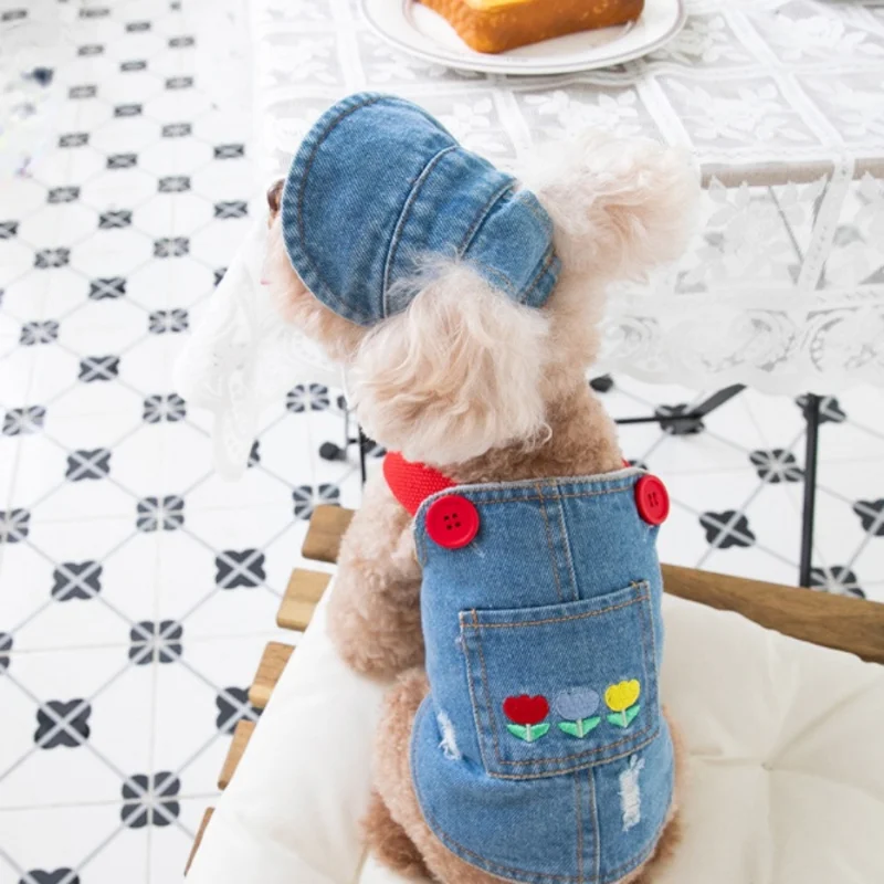 Fashion Embroidered Denim Dogs Skirt Plush Pet Clothes Cat and Dog Clothes Teddy Bear Coat Hat Dog Christmas Clothes Dog Dress