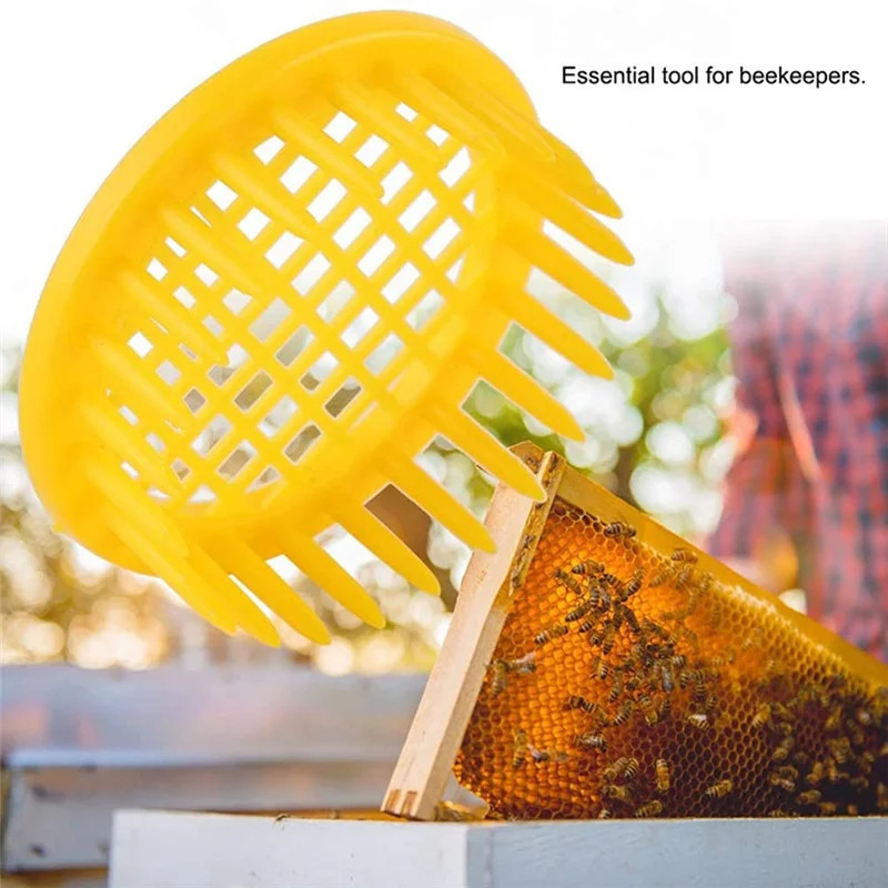 AD-20PCS Beekeeping Rearing Box Queen Bee Cell Cage Bee Rearing Tool For Isolating Queen Bees Beekeeping Equipment