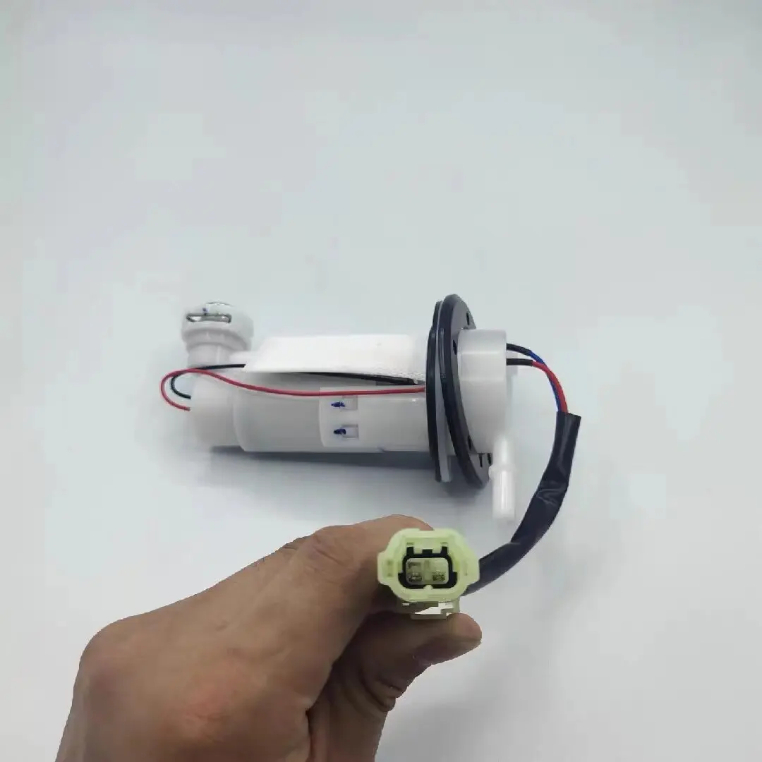 For little ninja, EFI oil pumps Horizons R35V6 for Xiaofengs N19 motorcycle sports car  pumps assembly
