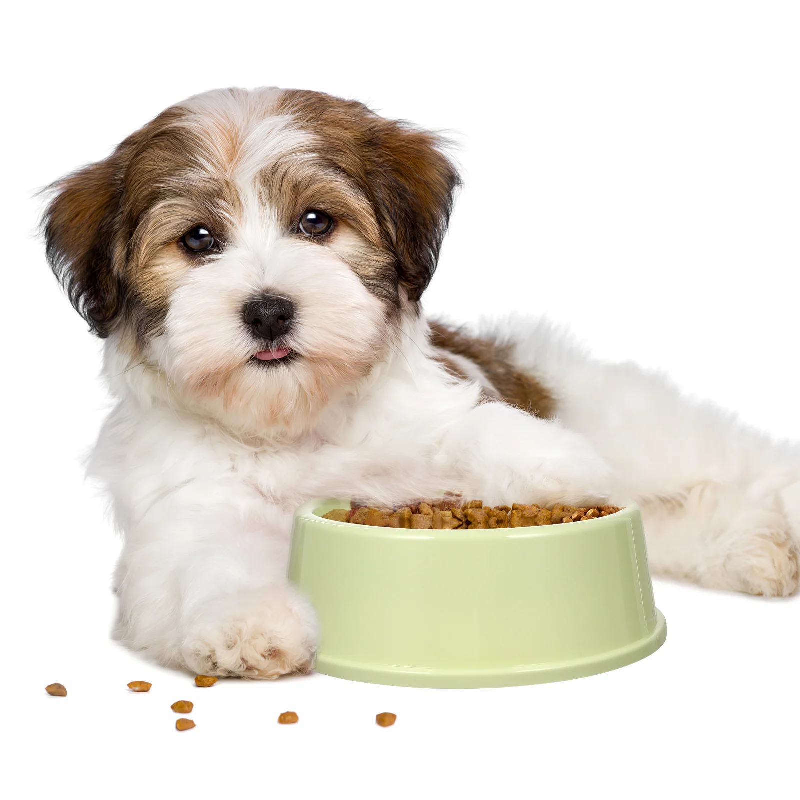 

3Pcs Medium Round Pet Bowl Candy Colored Plastic Cat Dog Feeder Lightweight Stylish Pet Bowl Dog Food Feeder Animal Dish